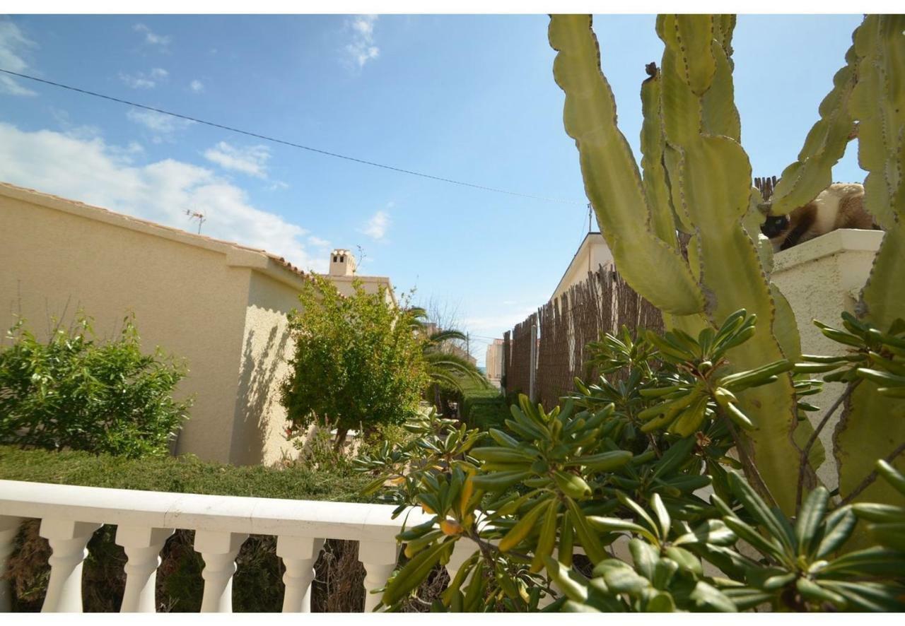 30 Beach House - Bbq & Terrace La Mata  Εξωτερικό φωτογραφία